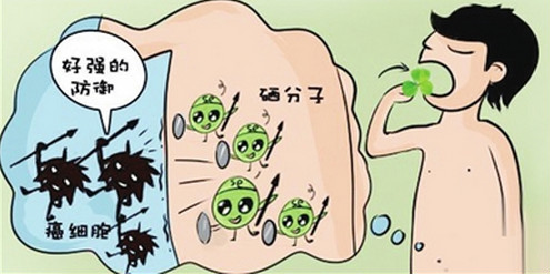 微量元素硒在醫學上有何重要的作用
