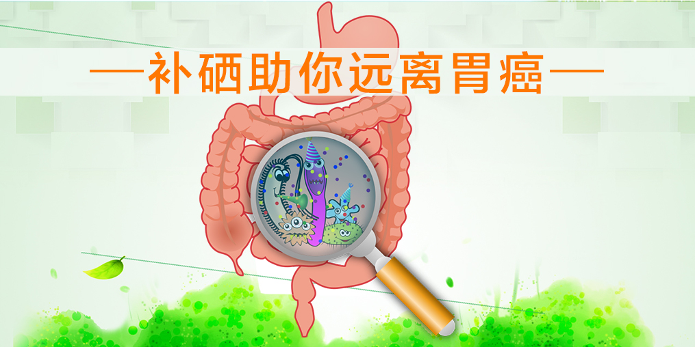 多補硒可降低萎縮性胃炎癌變的機率嗎？