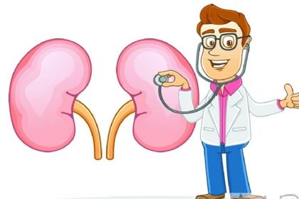 你的腎臟健康嗎?研究表明補硒對腎臟有保護作用