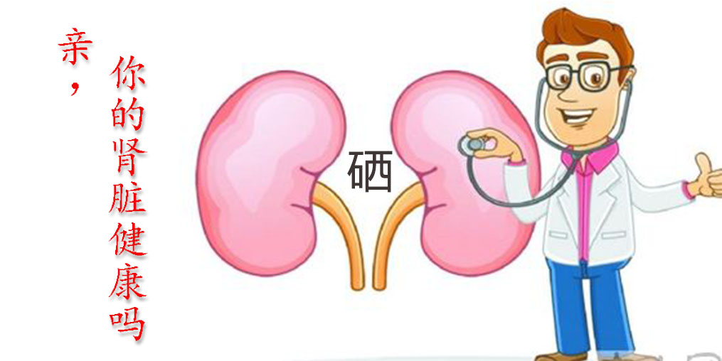 世界腎臟日|關愛腎臟健康，從補硒開始