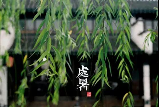 處暑養生小常識，謹記滋陰潤肺防秋燥