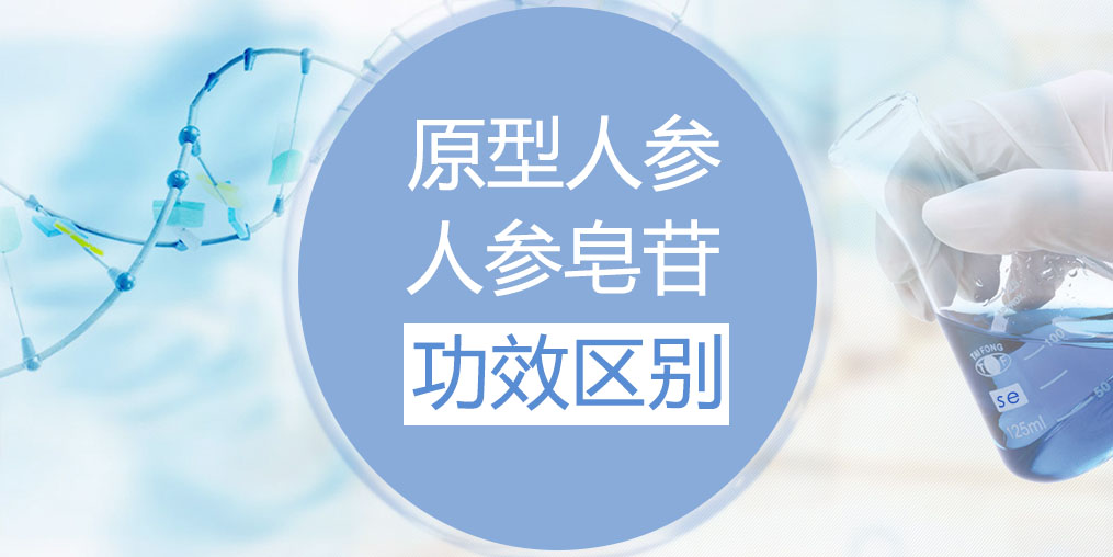 人參和人參皂苷的功效區別在哪里？