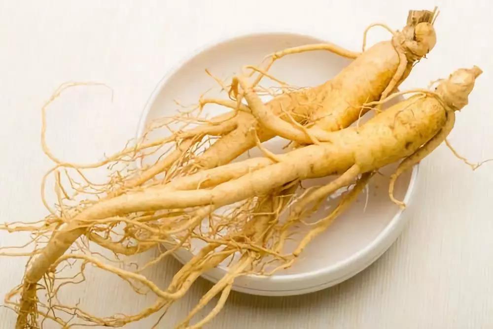 秋季養肺潤肺，能吃人參皂苷嗎？