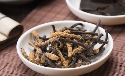 冬天宜進(jìn)補冬蟲夏草，看看它都有什么好