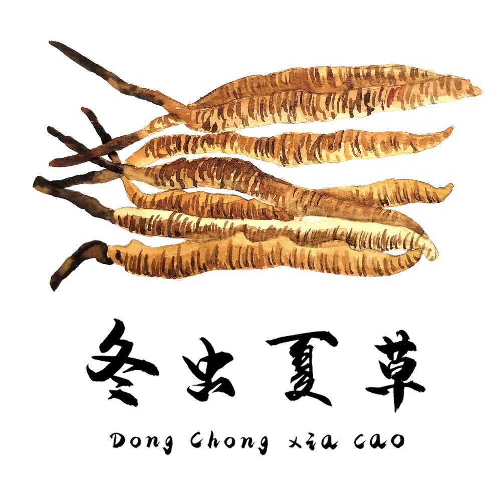 對于食道癌，冬蟲夏草有一定的改善作用