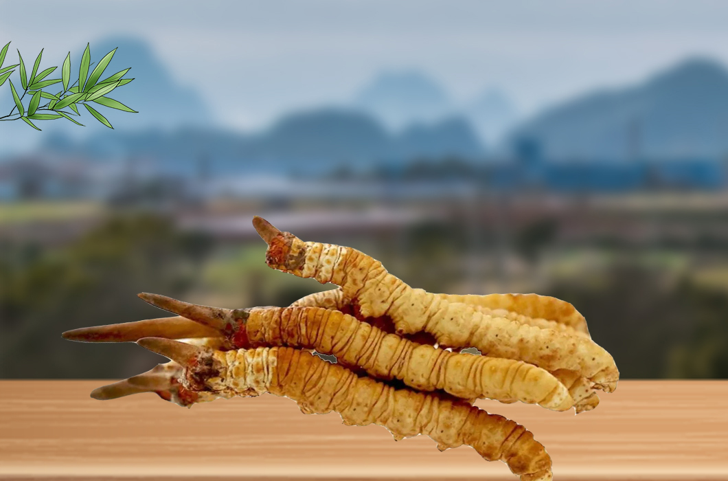冬蟲夏草和腎病還有什么關系嗎？