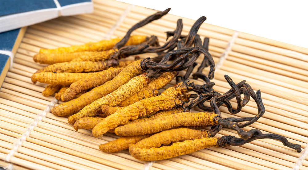 冬蟲(chóng)夏草不能和什么食物一同食用呢