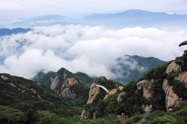 大別山的靈芝孢子粉為什么好？