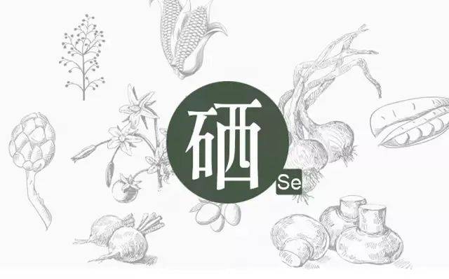 如何科學補硒？