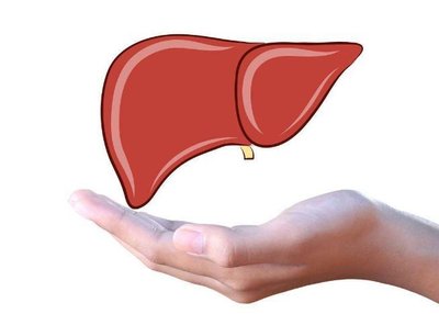 脂肪肝對人體的危害